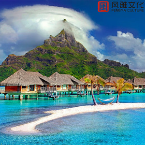 边查下面边吸奶很爽
